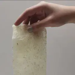 Crea plástico biodegradable y va a concurso internacional