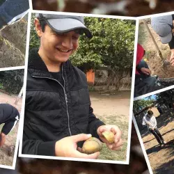 Gana beca del 100% para estudiar en el Tec creando huertos familiares