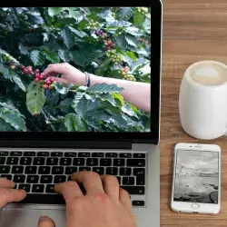 Aprendizaje con aroma a café y cacao. Capacita Tec a agroemprendedores