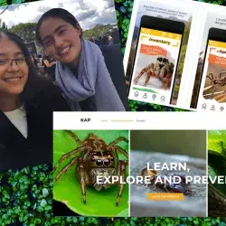 App que identifica especies de arañas, alacranes y serpientes