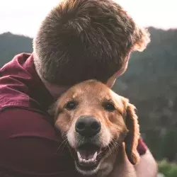 Amigos de 4 patas que ayudan a tu estado físico y emocional