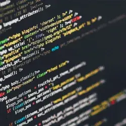 Pantalla con código para el análisis y base de datos 