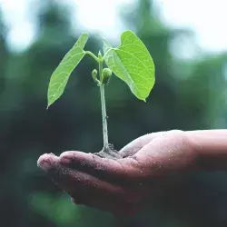 Con iniciativa de emprendimiento social del Tec impactarán al país