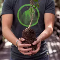 Green hug, una idea para el medio ambiente. 