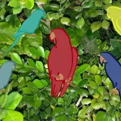 Dibujo de siluetas animadas de 6 loros de distintos colores postrados en una imagen real de un árbol.