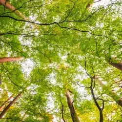¿Porqué importa la educación ambiental y porqué tiene un día mundial?