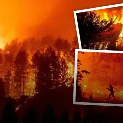 ¿Qué consecuencias tendrá incendio en la sierra? Expertos analizan