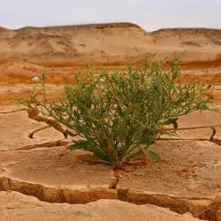 Rompe paradigmas al cuidar el Medio Ambiente y recibe Premio Mujer Tec