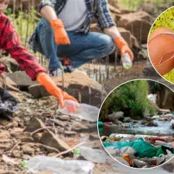 Estudiantes recolectan cascarón de huevo para limpiar el Río Lerma