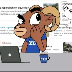 Gráfico de Teus pensando "¿Y ahora qué?" con fondo de titulares de noticias sobre el agua salada en Tampico.