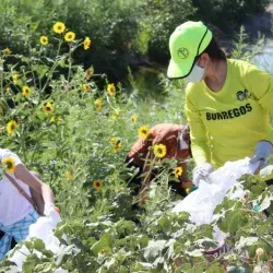 XRAMS y grupo Rotary se unen para limpiar el Río Bravo