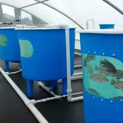 Tec and University of Maryland collaborating on aquaponic systems