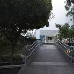 El campus esta pavimentando su camino hacia 