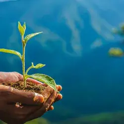 Un profesor investigador del Tec de Monterrey trabajó en un informe climático en el que se advierte la necesidad de tomar acciones contra la crisis climática