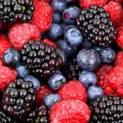 Producción de berries: Investigación del Tec ayuda a mejorar cultivos 