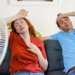 What are the dog days? 12 tips you need for coping with them