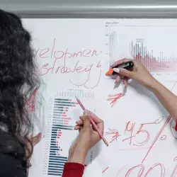 Mujer explicando una situación con diagramas