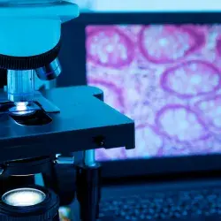 Investigadores del Laboratorio Álvarez Trujillo han trabajado en el desarrollo de diferentes tipos de tejidos con el uso de bionanotecnologías.