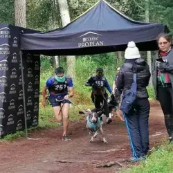 ¡Muy perrunos! Van por México al mundial de canicross