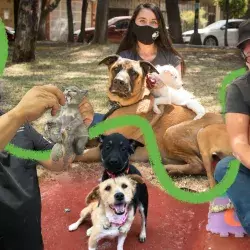 Refugio para perros y gatos de alumna del Tec