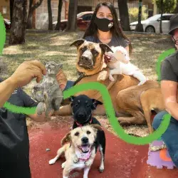 Refugio para perros y gatos de alumna del Tec