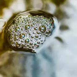 Contaminación del Agua