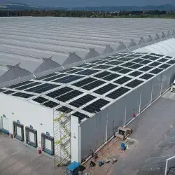 Tec de Monterrey graduate Salomón Ashkenazi has founded NISA Energy, an energy project developer that aims to decarbonize the energy sector in Mexico