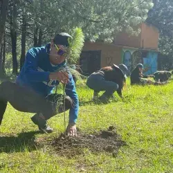 ¡Plantan 200 árboles! Egresados Tec realizan reforestación en Toluca