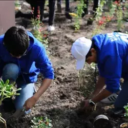 Alumnos de Prepa Tec construyen Jardines Polinizadores