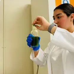 ¡Luz con clorofila! Alumnas de PrepaTec Navojoa crean bioplaca solar