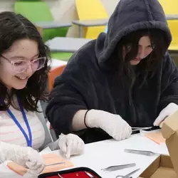 Estudiantes en taller de suturas