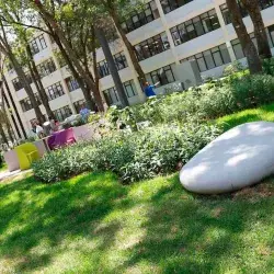 Espacio sostenible: crea Tec Gdl jardín para estudio colaborativo