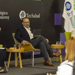 Panel elección 2024