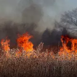 Bombero frente a incendio forestal