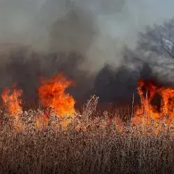 Bombero frente a incendio forestal
