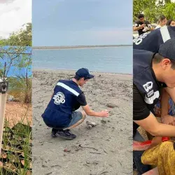 Galardonan a alumnos Tec Sinaloa por su trayectoria social y académica