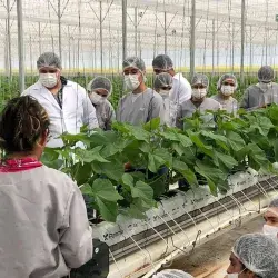 4 proyectos de invernaderos que están impactando en el Tec Qro