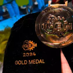 6 al hilo: alumnos de Tec Chihuahua ganan oro en torneo iGEM 2024