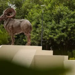 Certificación STARS Tec Aguascalientes