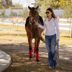Equinoterapia en campus Hidalgo
