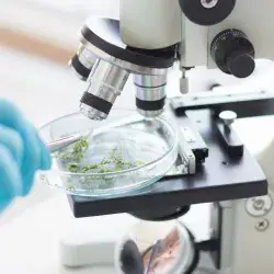 Emprendimiento XiA'H, Tec de Monterrey.