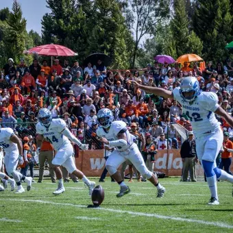 Borregos Toluca, campeones