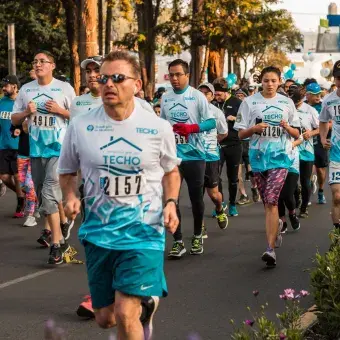 Carrera techo