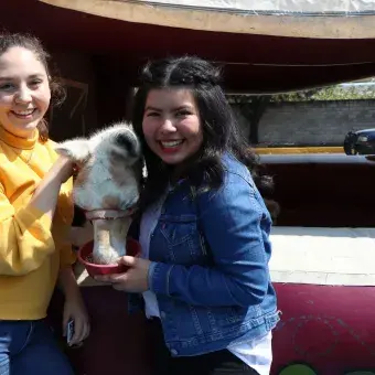 Amor y Amistad en Prepa Tec Guadalajara.