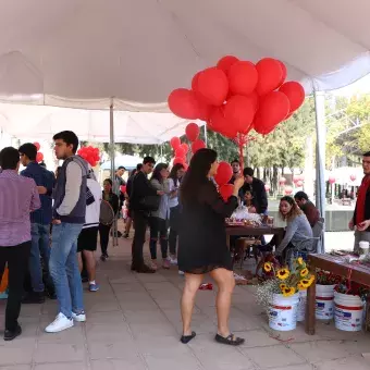 Feria de San Valentín Profesional.