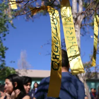 Día Ruler 