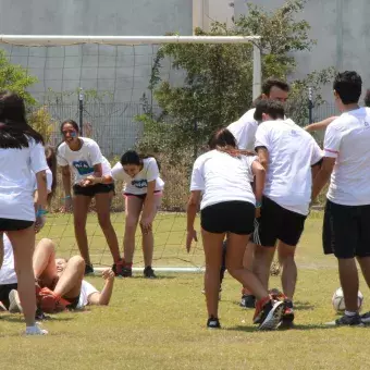 Actividades de integración.