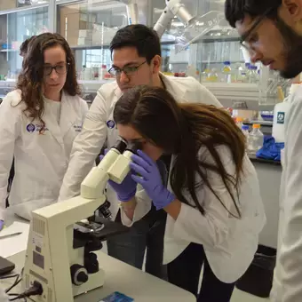 Escuela de Medicina y Ciencias de la Salud