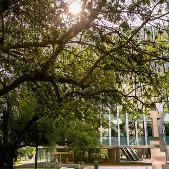 Biblio TEC en campus Monterrey