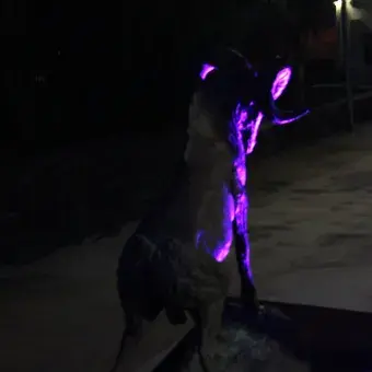 IRA SE ILUMINA DE AZUL 